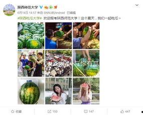 陕西吃瓜公众号,吃瓜群众必看的美食攻略