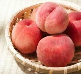 吃瓜的桃桃,揭秘娱乐圈那些事儿