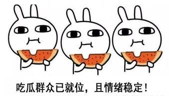 吃瓜人失望,揭秘娱乐圈背后的真相