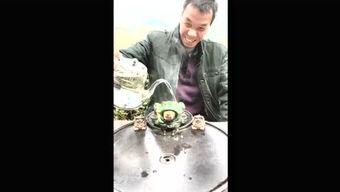 小说吃瓜群众联盟,揭秘网络舆论场的狂欢与真相