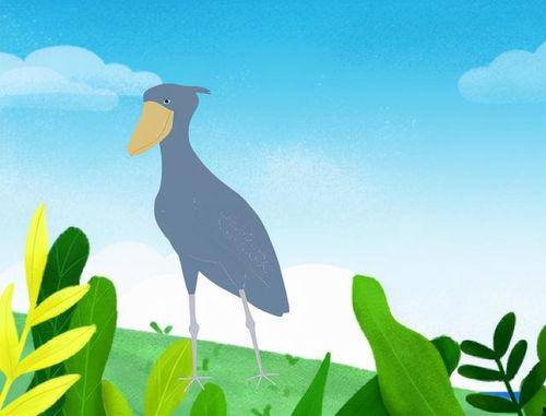 呆鸟吃瓜,揭秘瓜界奇闻趣事