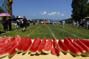 吃瓜比赛安徽黄山,瓜香四溢，欢乐黄山