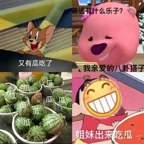 吃瓜文件包,一场网络舆论的风暴与反思