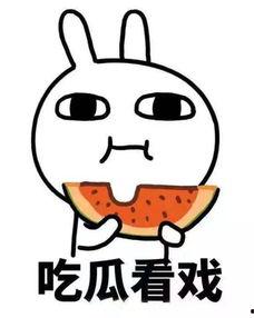 与其跟着吃瓜的说说,揭秘网络热议背后的真相