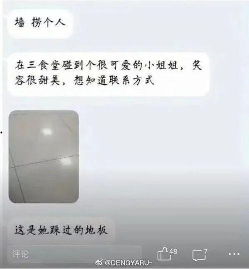 表白墙吃瓜手册,揭秘校园爱情背后的甜蜜与苦涩