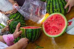 改天吃瓜,揭秘娱乐圈幕后故事