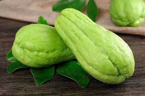 蜗牛吃佛手瓜,一场生态与美味的邂逅