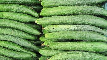 孕妇可以吃葫瓜,孕妇适量食用葫瓜的益处与建议