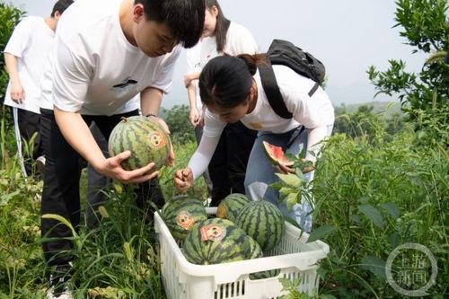 带毕业照片吃瓜,揭秘校园里的那些趣事
