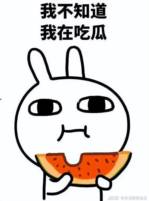 吃瓜小丑什么意思,网络热词背后的文化现象