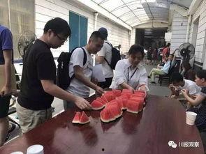 成都吃瓜群众是什么,揭秘“吃瓜群众”的日常生活与趣味