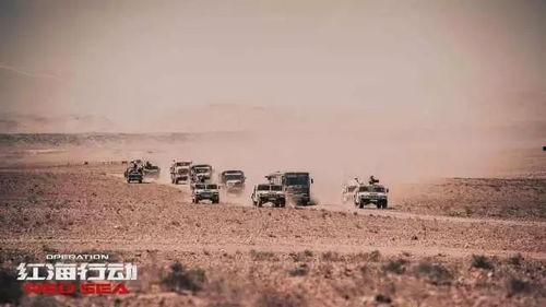 红海行动吃瓜,揭秘幕后故事与精彩瞬间