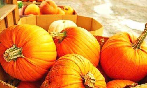 梦见跟老乡分篮瓜吃,与老乡共享瓜果的温馨记忆