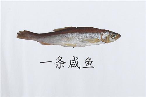 咸鱼吃瓜系统,揭秘网络社交新潮流