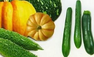 水里吃瓜,探寻水中吃瓜的独特魅力