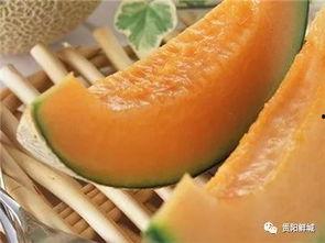 哈密瓜嫩瓜要怎么吃,哈密瓜嫩瓜的多样美味食用指南