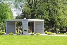 公墓基金经理吃瓜,揭秘投资界的另类视角