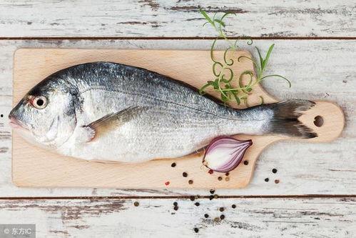 鱼可以吃洋瓜吗,揭秘鱼儿能否享用洋瓜之谜