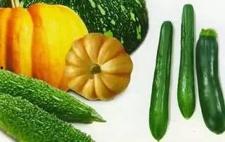 乖宝吃瓜,揭秘娱乐圈的甜蜜与苦涩