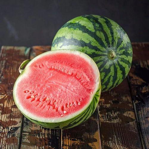 吃瓜麒麟会,探寻神秘生物的传奇故事