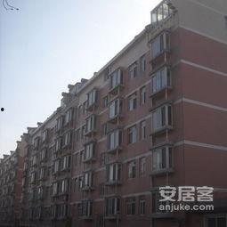 新世纪小区吃瓜,吃瓜群众的热议焦点