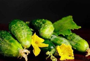 糖人可以吃蒸角瓜,甜蜜滋味新体验