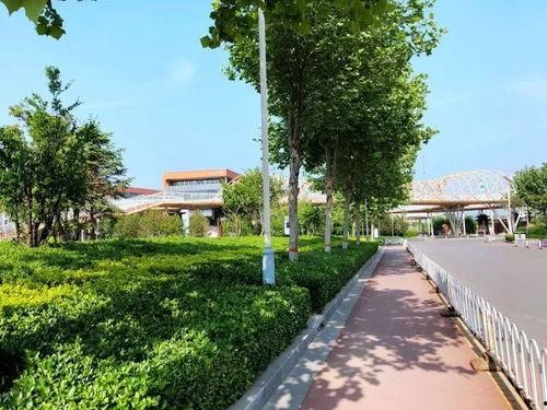 河北传媒吃瓜,揭秘娱乐圈的“吃瓜”风云