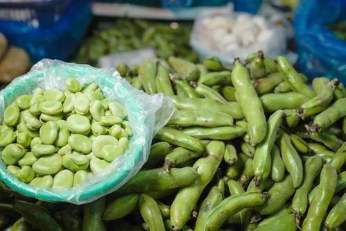 太仓直播吃瓜,一场全民参与的美食盛宴