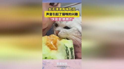 吃瓜津津有味