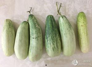 老公吃瓜的经历,一场舌尖上的味蕾之旅