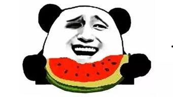 吃瓜吃上瘾,揭秘吃瓜上瘾的奥秘与乐趣