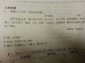 带你吃瓜古文翻译,带你领略古代“瓜圈”文化