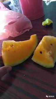 怎么才能扫吃瓜码